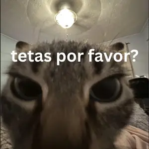 557x740_828ebcf6ce16e08c175f2c72a6449203