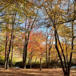 ursecretlia hình 50