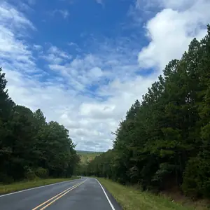 ursecretlia hình 48